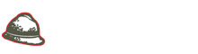 Home - AI COMBATTENTI