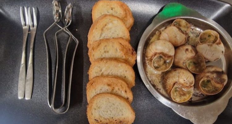 Lumache, una piacevole scoperta